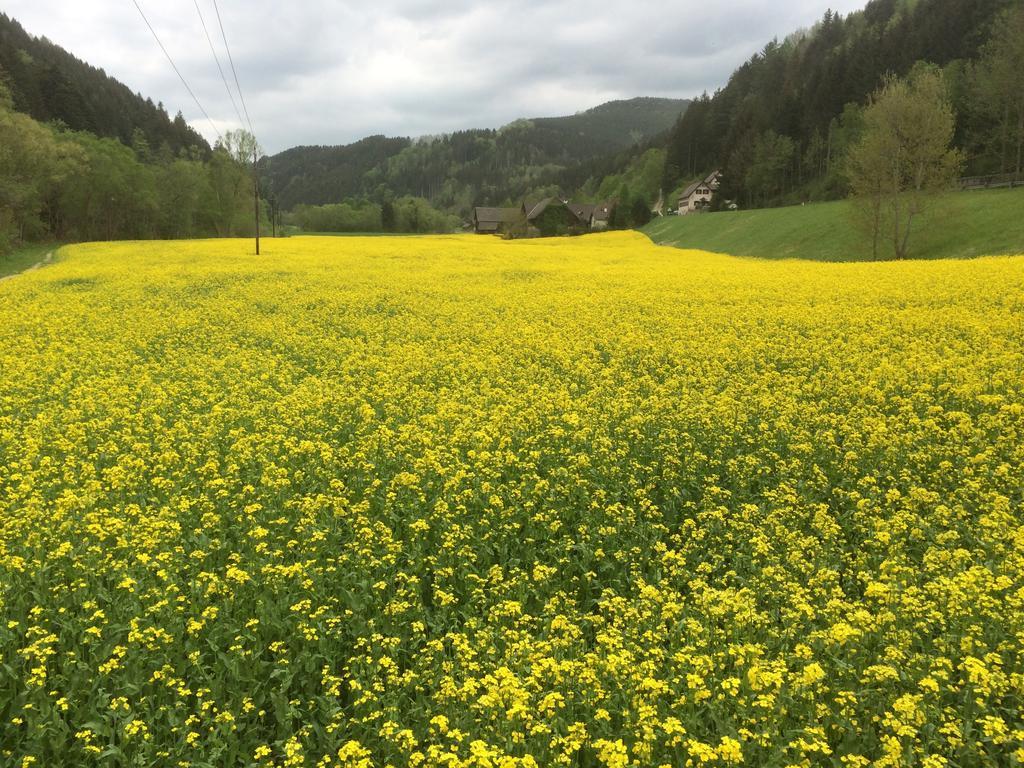 Seegasthof Breineder - Familien & Seminarhotel Monichwald 외부 사진